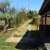 Tijarafe, La Palma: Casa El Topo Holiday homes on the Canary Islands, La Palma, Tenerife, El Hierro