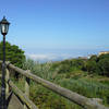 Puntallana, La Palma: Finca Camelia Holiday homes on the Canary Islands, La Palma, Tenerife, El Hierro