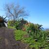 Tijarafe / La Punta, La Palma: Casa Tijarafe Holiday homes on the Canary Islands, La Palma, Tenerife, El Hierro