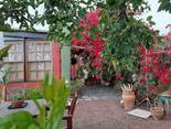 Südosten, Teneriffa: Casa Hilda Ferienhaus Kanarische Inseln, La Palma, Teneriffa, El Hierro.